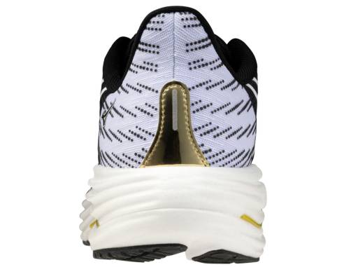 Buty Mizuno WAVE RIDER 29 J1GC266301