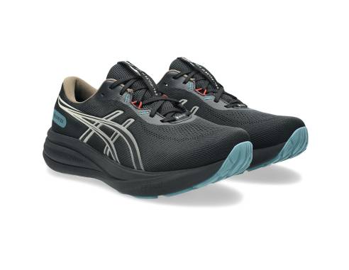 Buty Asics GEL-PULSE 17 GTX GTX 1011C154 001