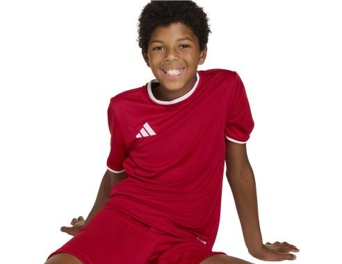 Koszulka adidas Entrada 26 JSY JZ2523