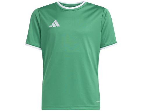 Koszulka adidas Entrada 26 JSY JZ2528