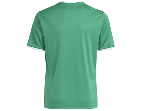 Koszulka adidas Entrada 26 JSY JZ2528