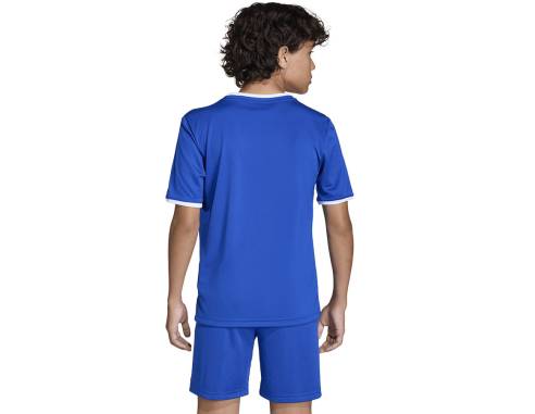 Koszulka adidas Entrada 26 JSY JZ2531