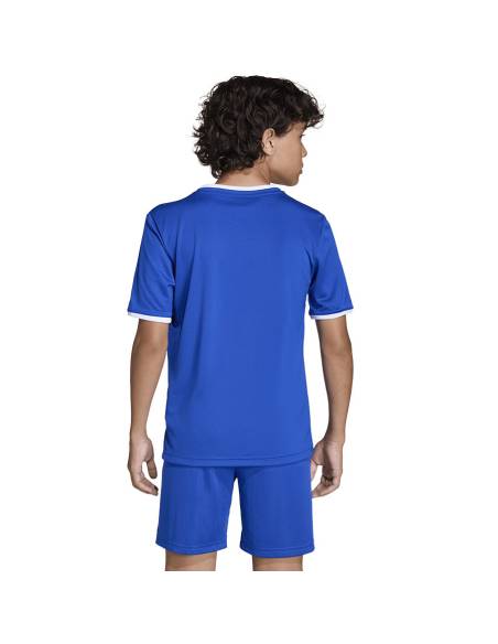 Koszulka adidas Entrada 26 JSY JZ2531