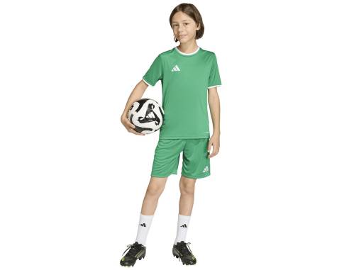 Spodenki adidas ENTRADA 26 Short Junior JZ6530