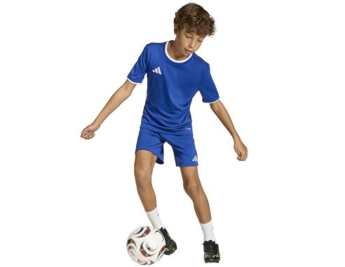 Spodenki adidas ENTRADA 26 Short Junior JZ6524