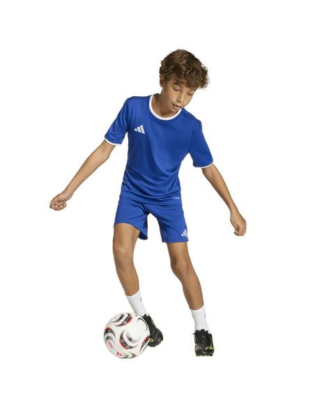 Spodenki adidas ENTRADA 26 Short Junior JZ6524