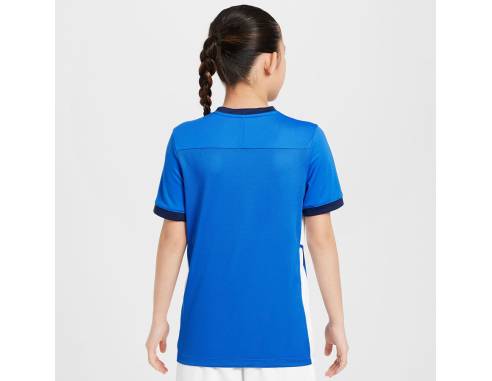 Koszulka Nike Academy 25 Junior FZ9758-463
