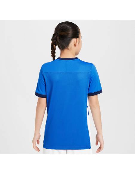 Koszulka Nike Academy 25 Junior FZ9758-463