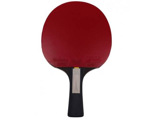 Rakietka Donic Ovtcharov