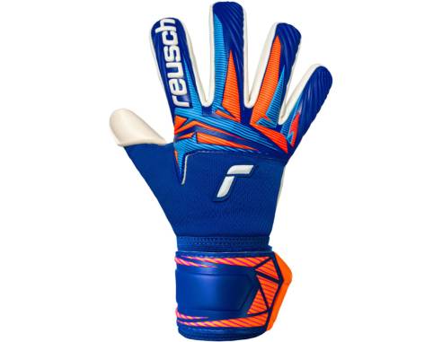Rękawice Reusch Attrakt Gold X NC Junior 56 72 955 4126