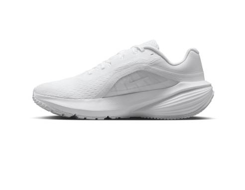 Buty Nike Downshifter 14 W IB1899-102