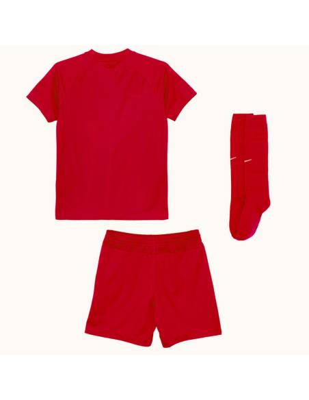Komplet Nike Park VIII HV8260-657