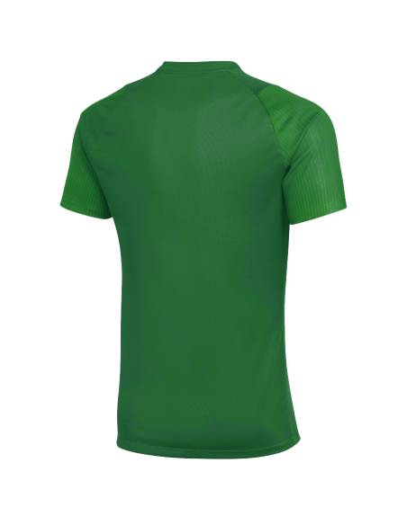 Koszulka Nike Academy II HV8160-302
