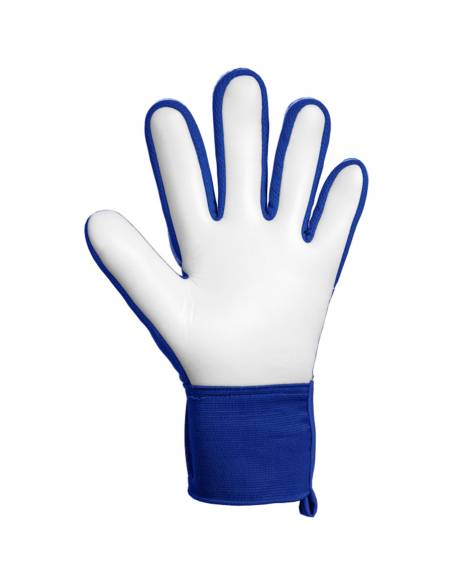 Rękawice Reusch Attrakt Starter Solid 56 70 514 4126