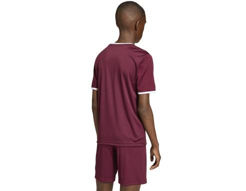 Koszulka adidas ENTRADA 26 JSY Junior JZ2530
