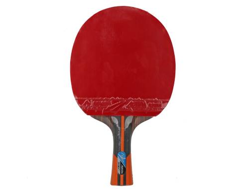 Rakietka do p-ponga Aurora PRO 6*  SG 6002