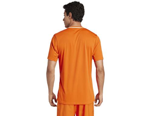 Koszulka adidas Campeon 25 JSY JF6066