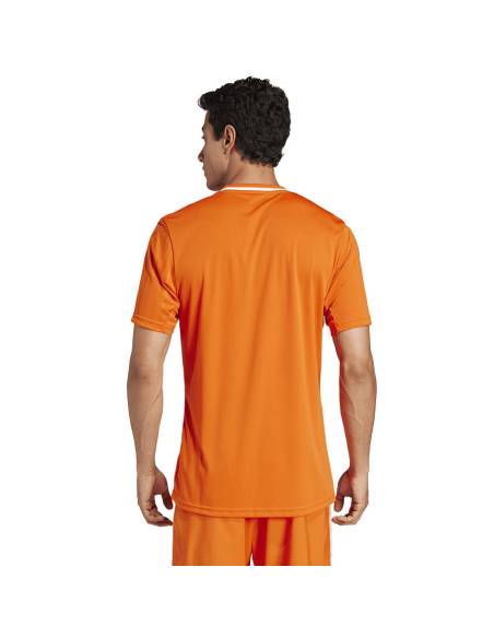 Koszulka adidas Campeon 25 JSY JF6066