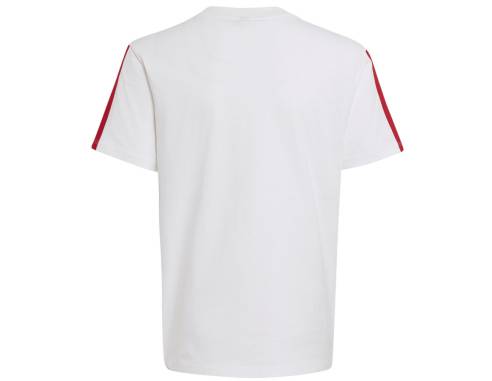 Koszulka adidas FC Bayern DNA Tee Junior KG2591