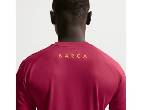 Koszulka Nike FC Barcelona Strike SS Top II2254-621