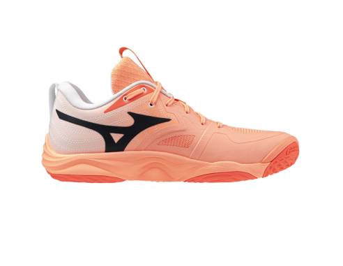 Buty Mizuno WAVE MOMENTUM ELITE V1GA251280