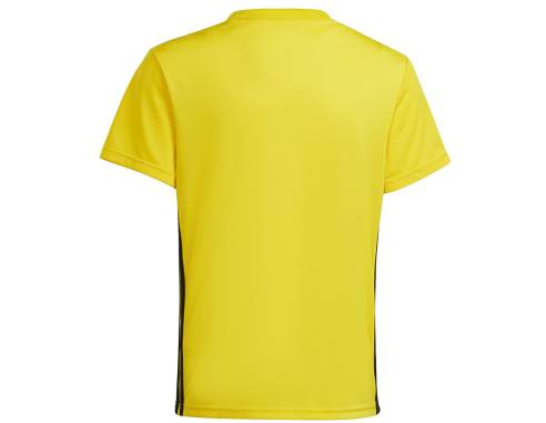 Koszulka adidas Tabela 23 JSY IA9156