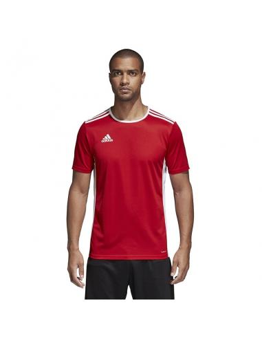 Koszulka adidas Entrada 18 JSY CF1038