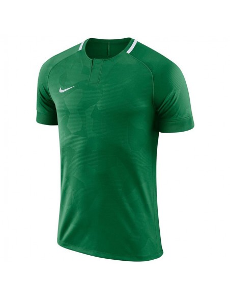 Koszulka Nike Y NK Dry Chalang II JSY SS 894053 341