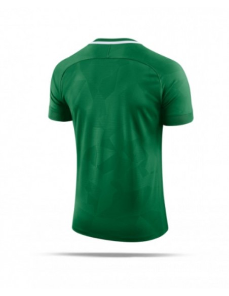 Koszulka Nike Y NK Dry Chalang II JSY SS 894053 341