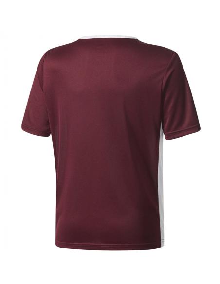 Koszulka adidas Entrada 18 JSY Y CE9564