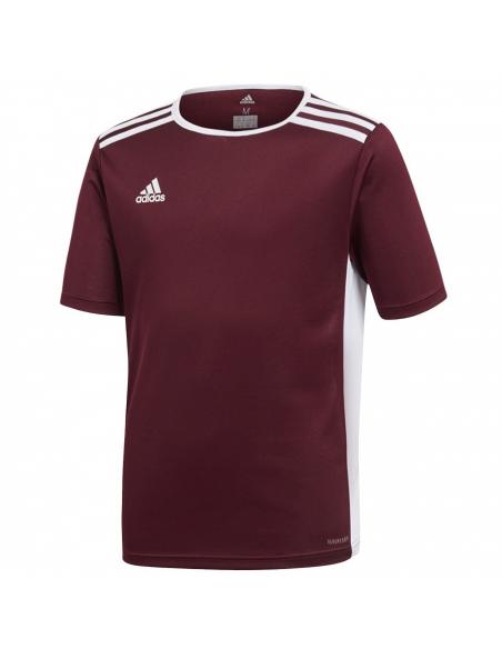 Koszulka adidas Entrada 18 JSY Y CE9564