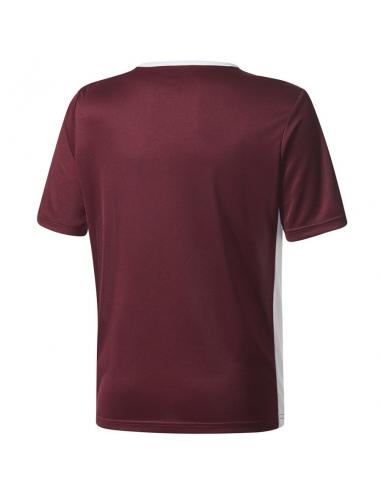 Koszulka adidas Entrada 18 JSY Y CE9564