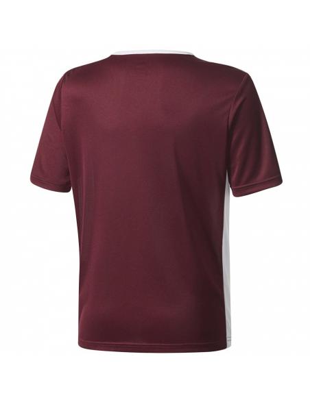 Koszulka adidas Entrada 18 JSY Y CE9564