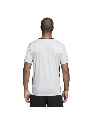 Koszulka adidas Entrada 18 JSY CD8438