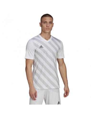 Koszulka adidas ENTRADA 22 GFX JSY HF0129