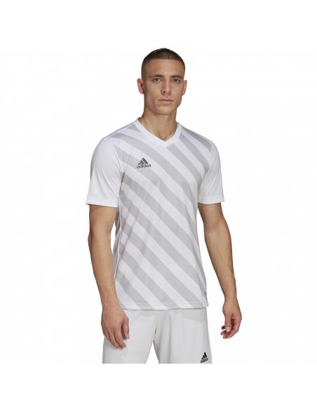 Koszulka adidas ENTRADA 22 GFX JSY HF0129