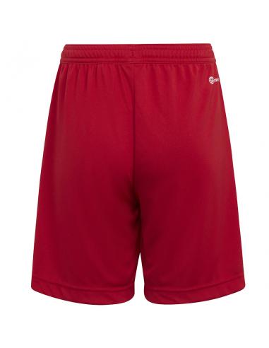 Spodenki adidas ENTRADA 22 Short Y H57501