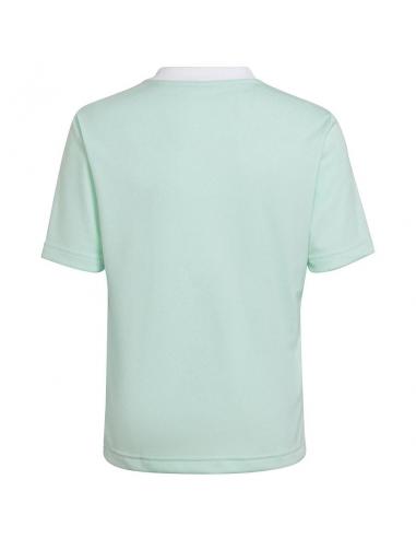 Koszulka adidas ENTRADA 22 JSY Y HC5078