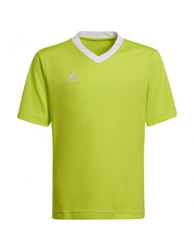 Koszulka adidas ENTRADA 22 JSY Y HI2127