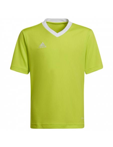 Koszulka adidas ENTRADA 22 JSY Y HI2127