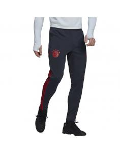 Spodnie adidas FC Bayern Training Panty HG1352