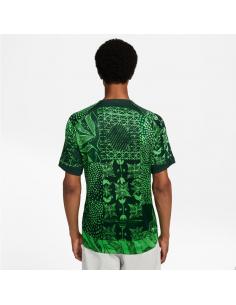 Koszulka Nike Nigeria Stadium JSY Home DN0696 329 2