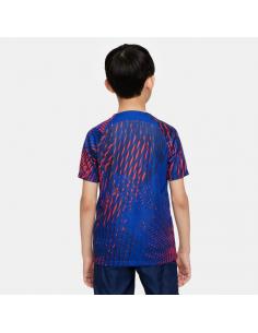 Koszulka Nike PSG Top Pre Match CL DN2992 418 2