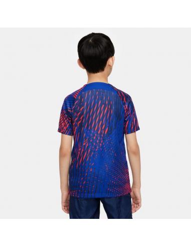 Koszulka Nike PSG Top Pre Match CL DN2992 418