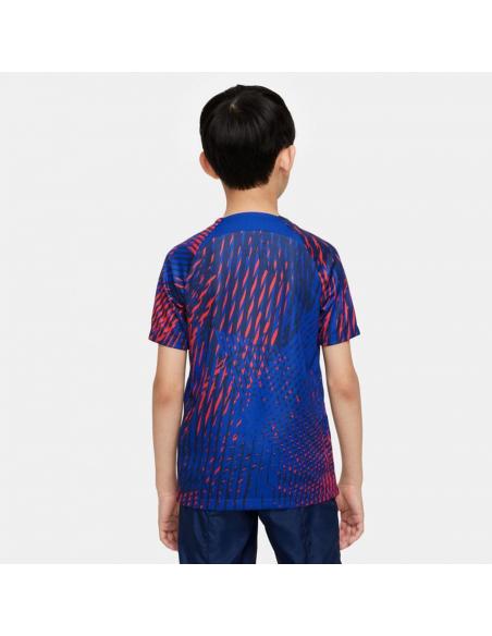 Koszulka Nike PSG Top Pre Match CL DN2992 418