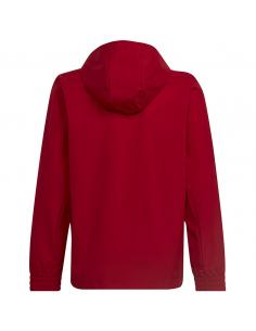 Kurtka adidas ENTRADA 22 AW Jacket Y HG6300 2