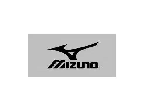 Mizuno